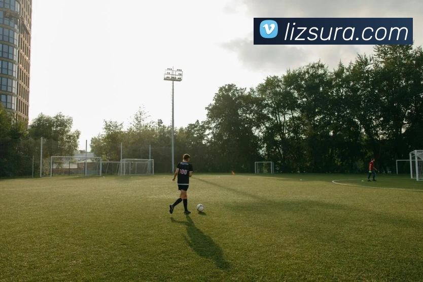 未来规划